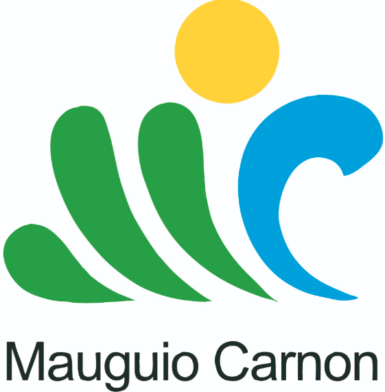 Carnon-2.png