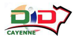 DIDCayenne-1.png